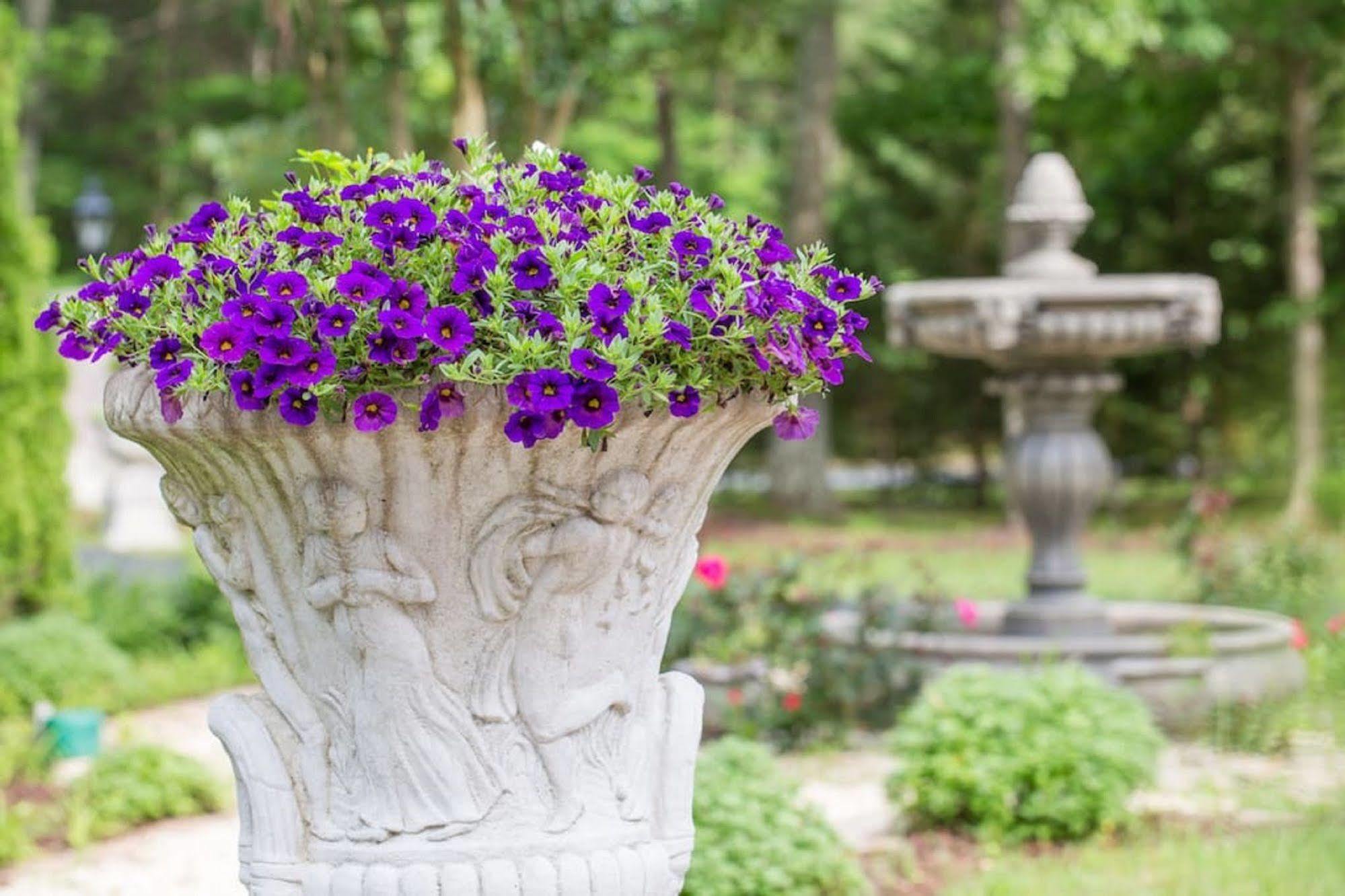 Rosewood Manor Bed & Breakfast Port Tobacco エクステリア 写真